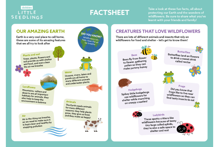 Little Seedlings fact sheet