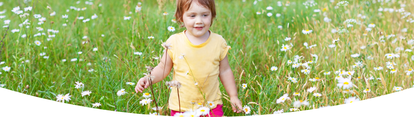 Make your own mini wildflower meadow
