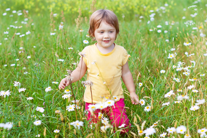 Make your own mini wildflower meadow