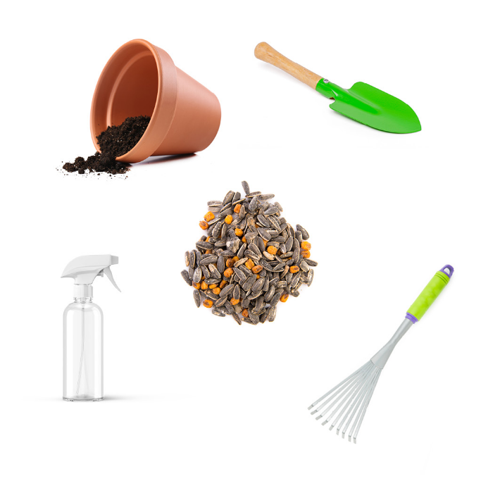 Make your own mini wildflower meadow