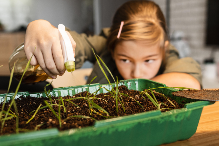 Make your own mini wildflower meadow