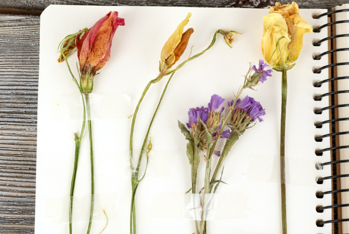 Make your own wildflower suncatchers