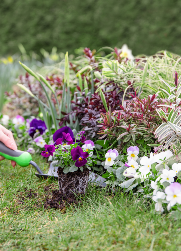 Gardening tips for April