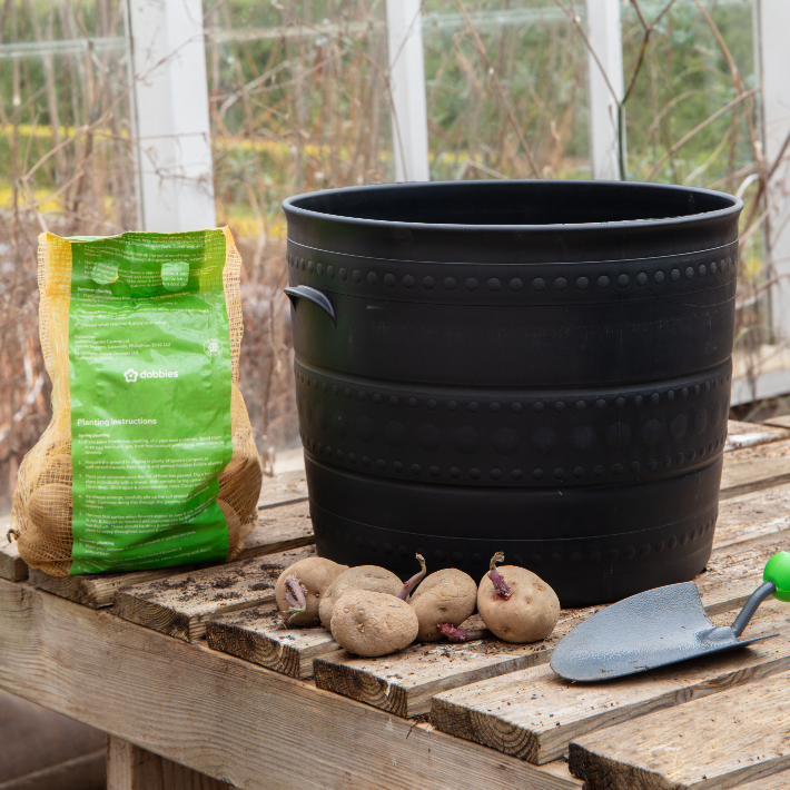 Gardening tips for April