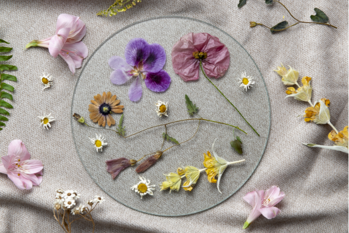 Make your own wildflower suncatchers