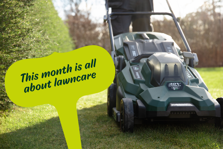 Gardening tips for April