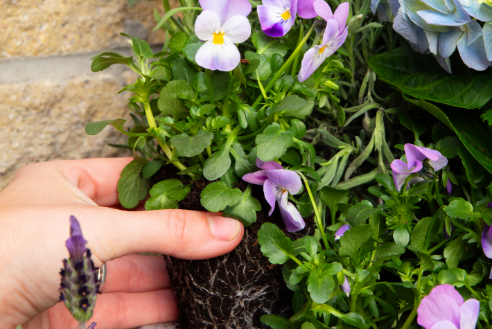 Spring doorway ideas