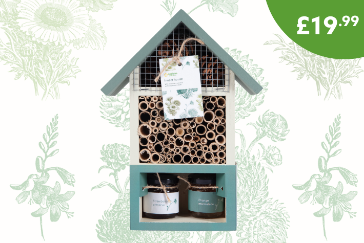 Dobbies 160 year heritage insect house with preserves