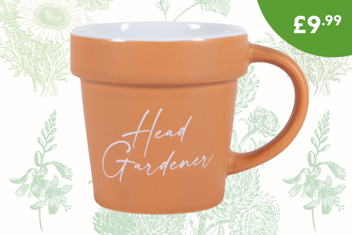 Dobbies 160 year heritage plant pot mug with tea