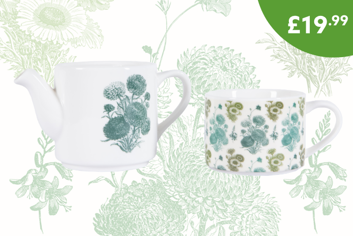 Dobbies 160 year heritage ceramic tea for 1 gift set