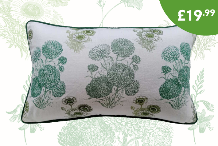 Dobbies 160 year heritage print cushion