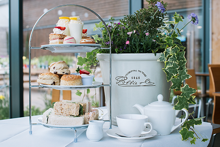 Heritage planting & afternoon tea