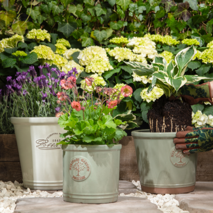 Gardening tips for May