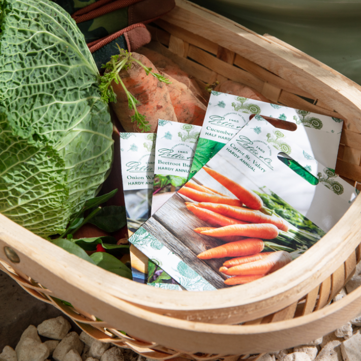 Gardening tips for May