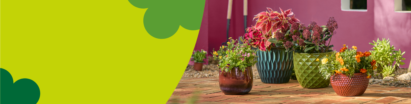 Ceramic plant pots & planters