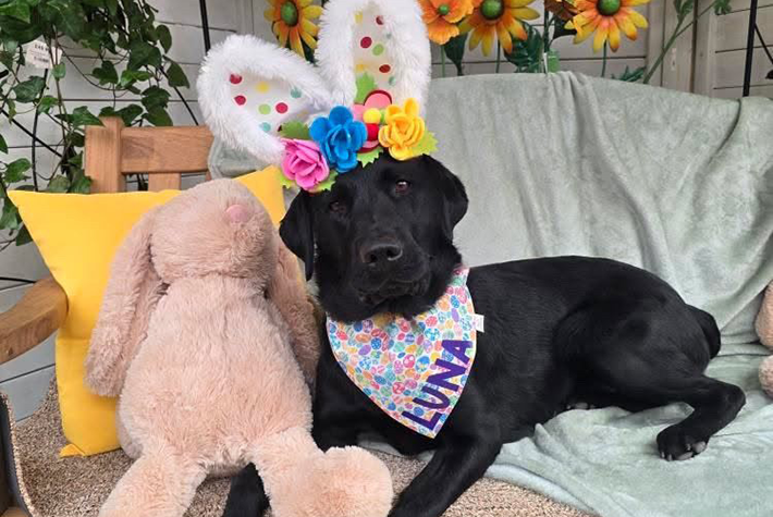 Dogs at Dobbies April winner