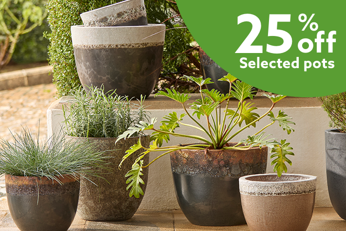25% off selected pots & planters