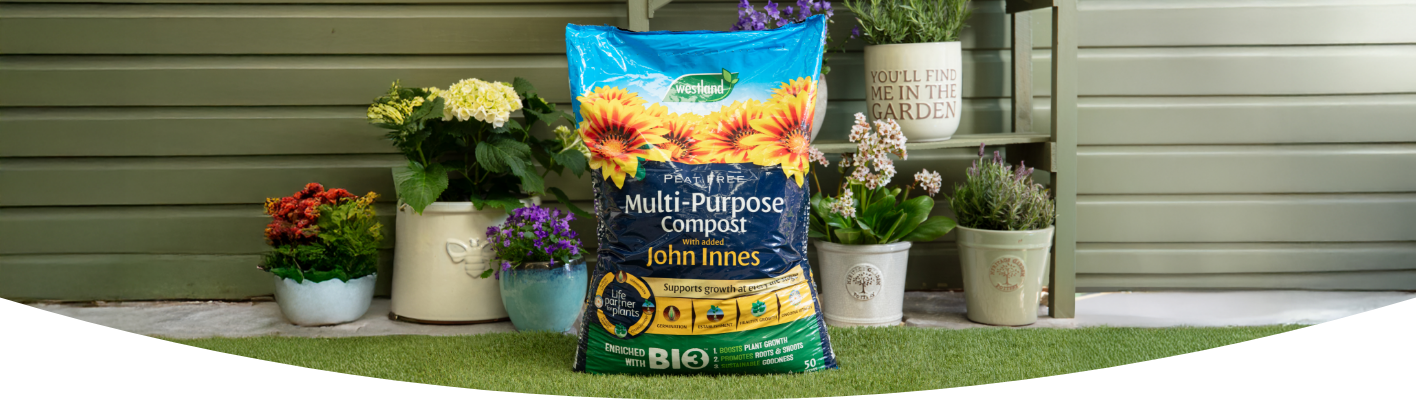 What is peat free compost