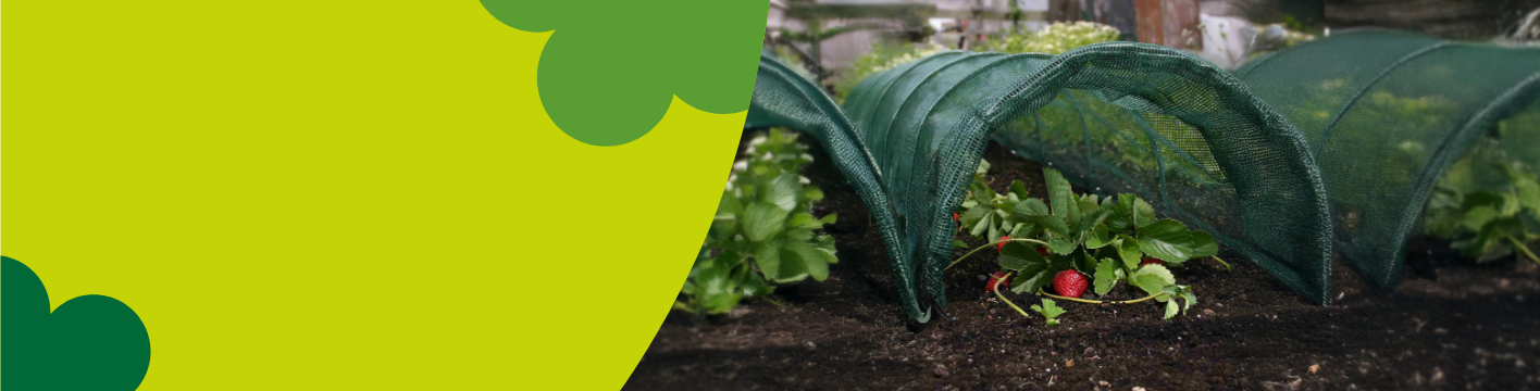 Garden netting & mesh