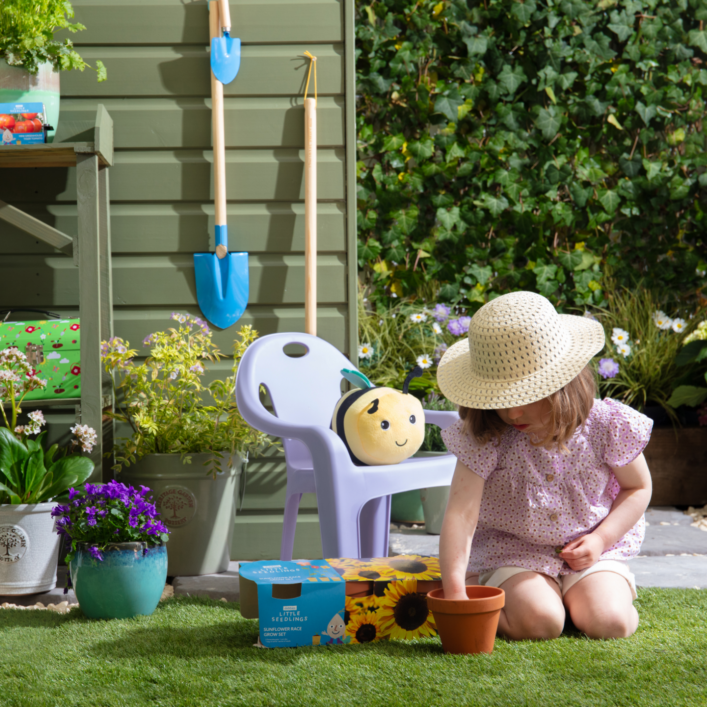 Plant sunflower seeds