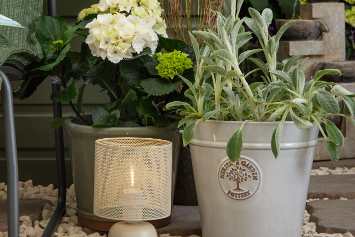 Create a sensory garden