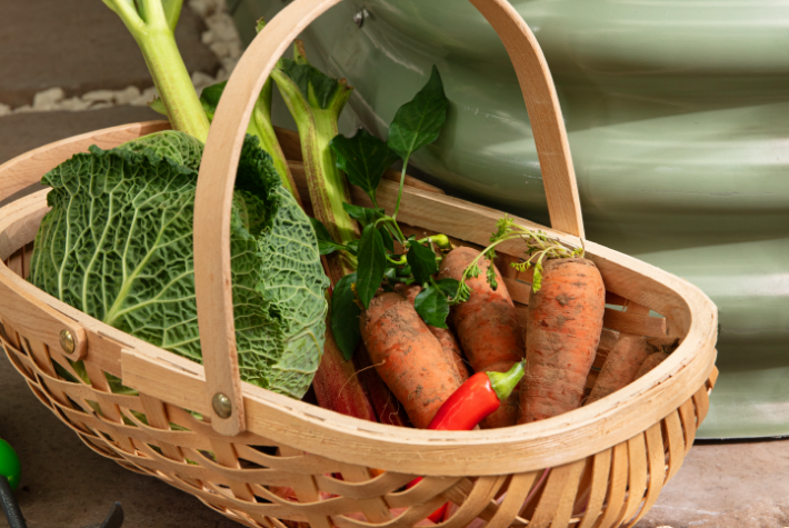 Create a sensory garden