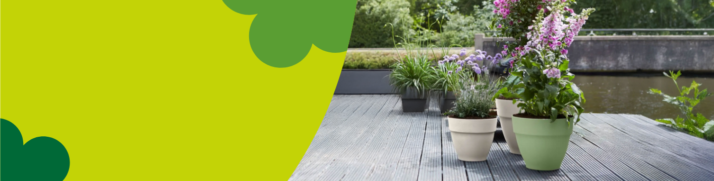 Plastic plant pots & planters