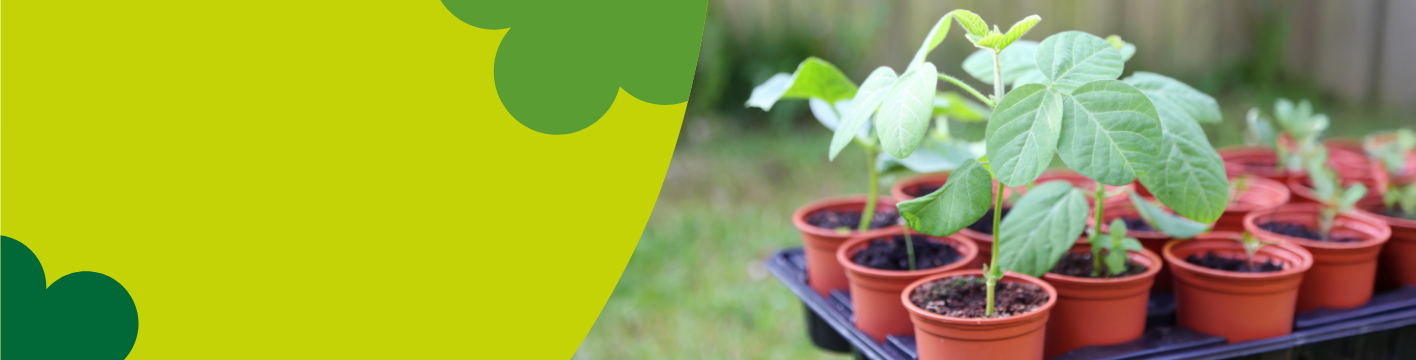 Grow pots