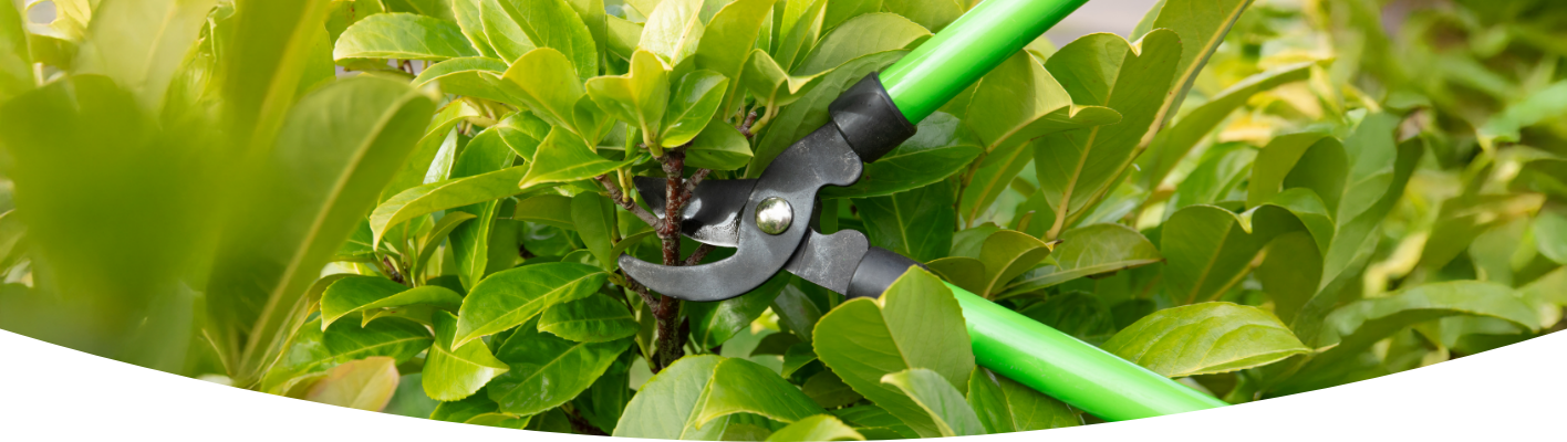 Essential gardening tools & equipment