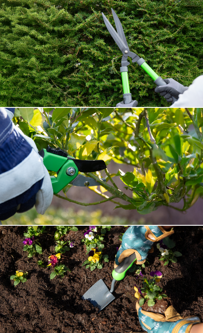 Gardening tools for beginners