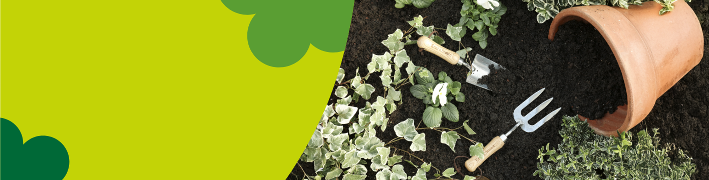 Multipurpose compost