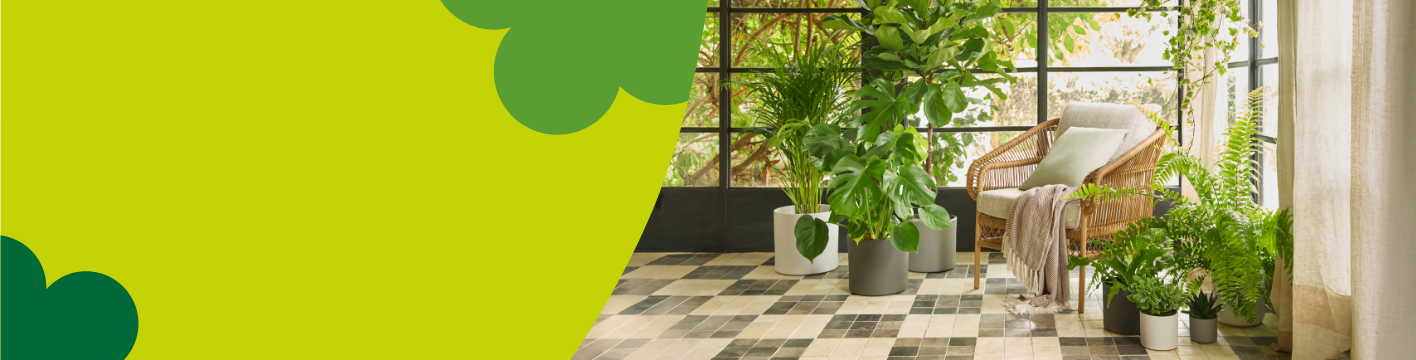 Indoor plant pots & planters