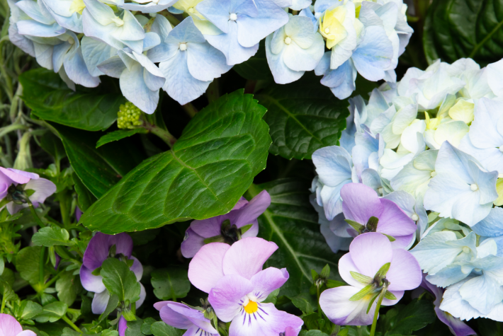 Spring doorway ideas