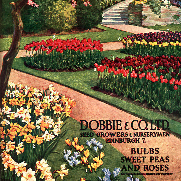 160 years of Dobbies