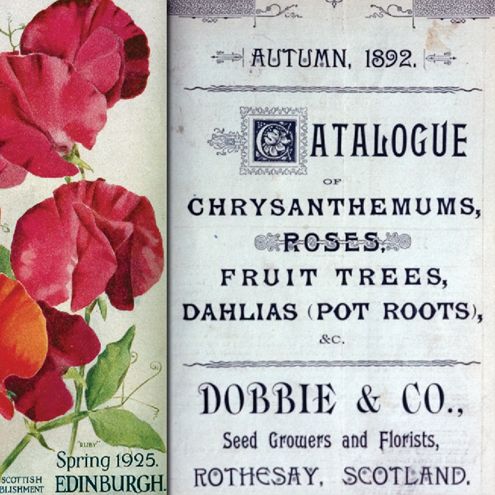160 years of Dobbies