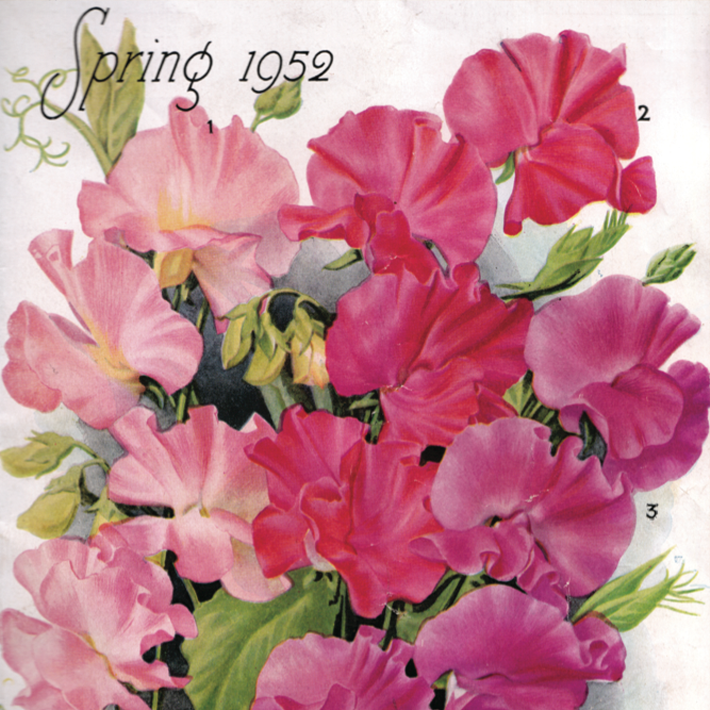 160 years of Dobbies