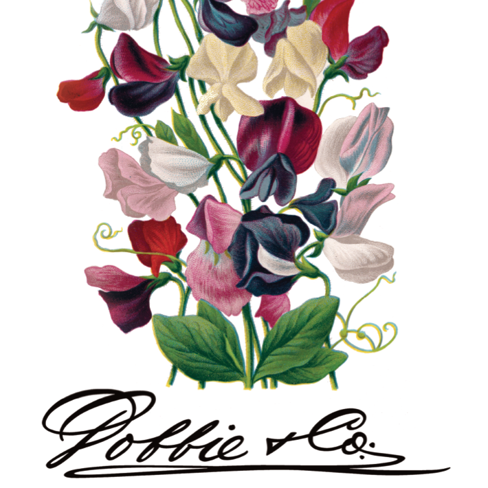 160 years of Dobbies