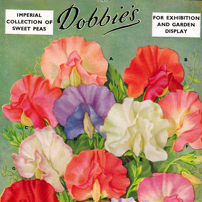 160 years of Dobbies