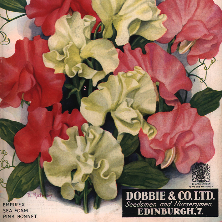 160 years of Dobbies