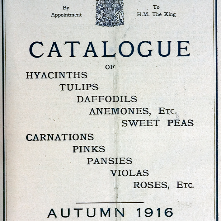 160 years of Dobbies