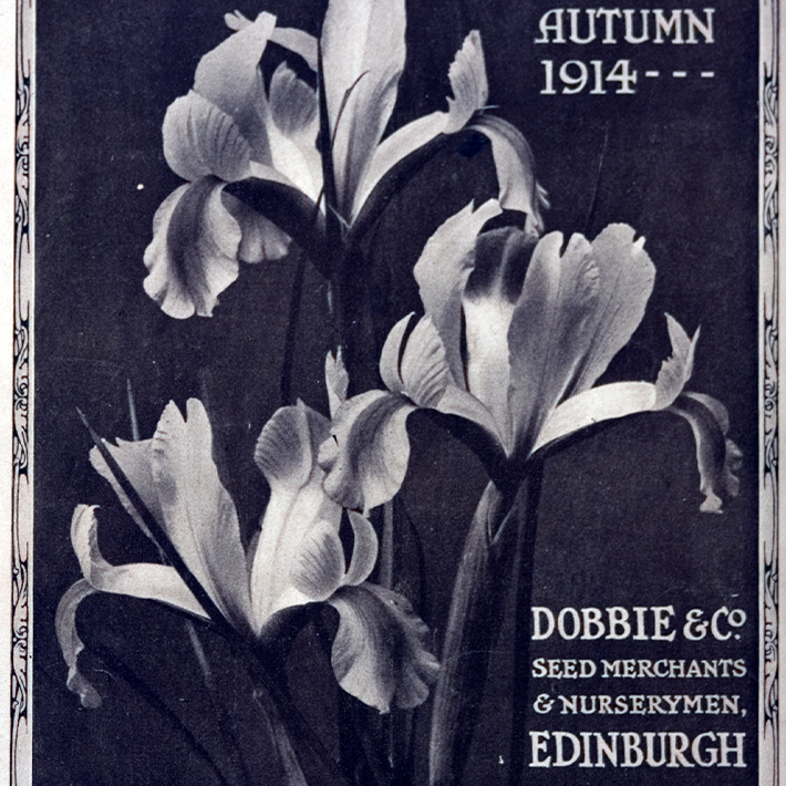 160 years of Dobbies