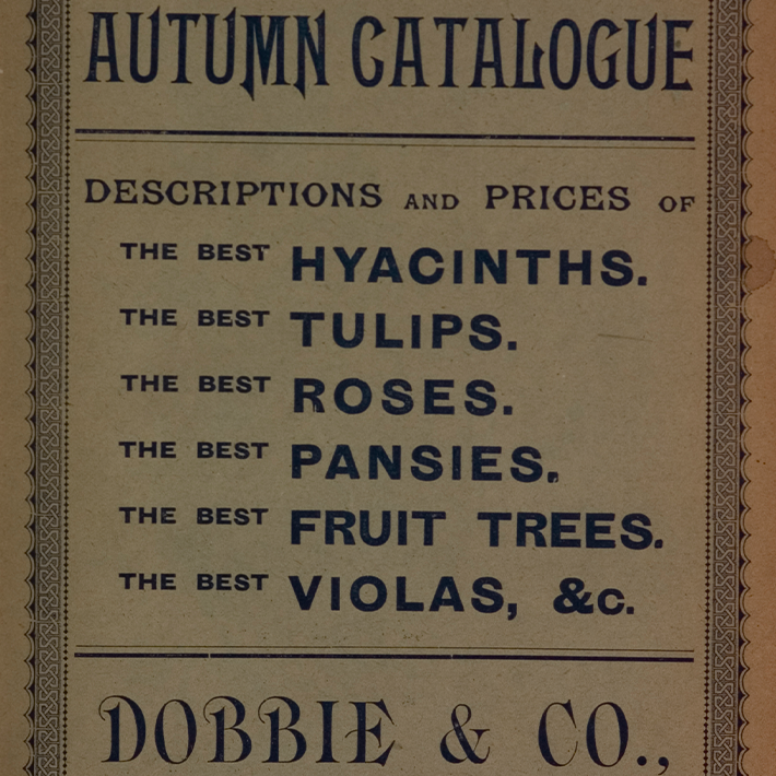 160 years of Dobbies
