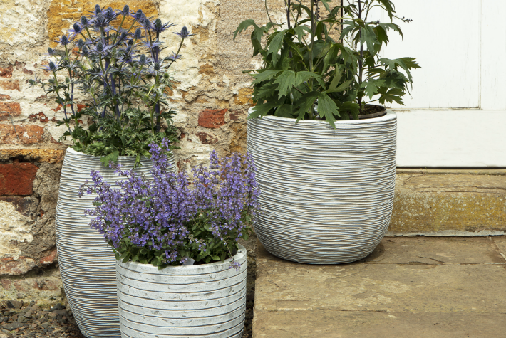 How to plant flowers in a pot