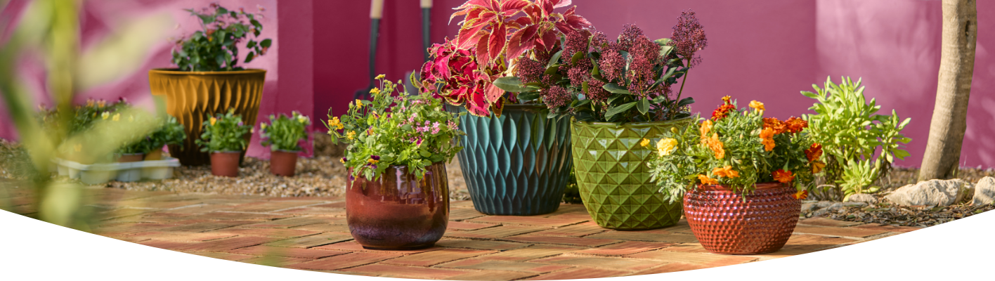 How to plant flowers in a pot