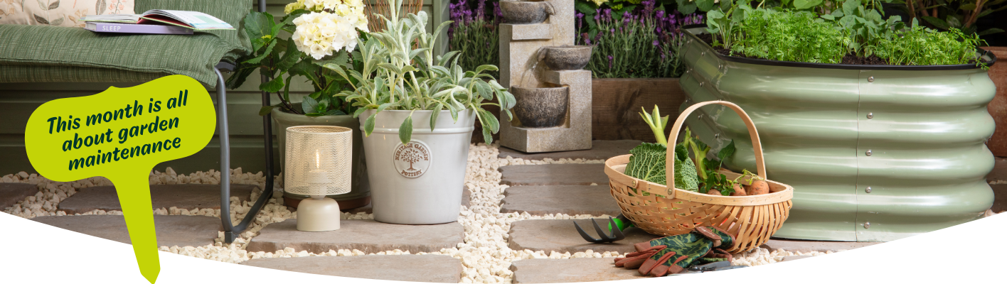 Gardening tips for June