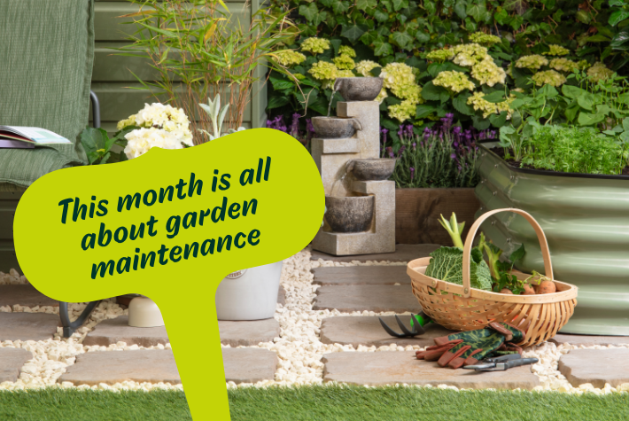 Gardening tips for June