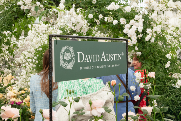 RHS Chelsea round-up