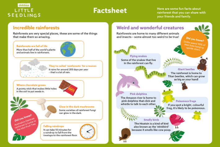 Exploring the rainforest - factsheet