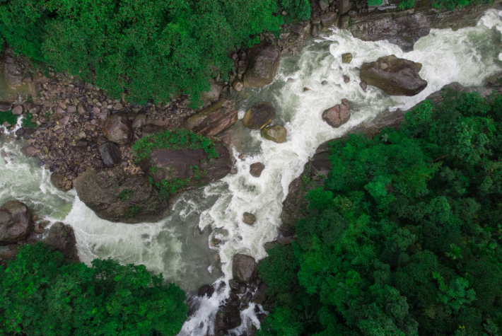 Rainforests around the world