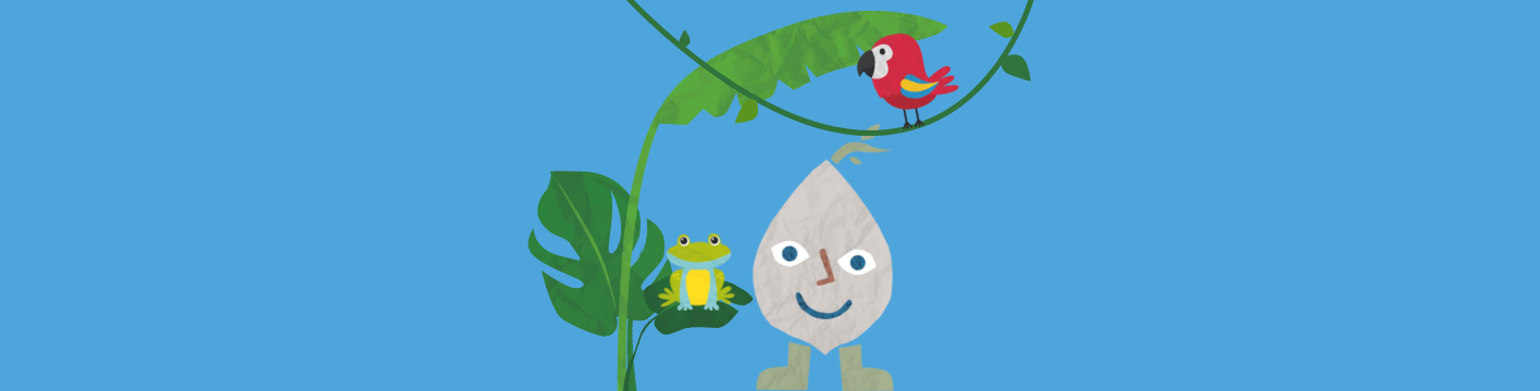 Exploring the rainforest